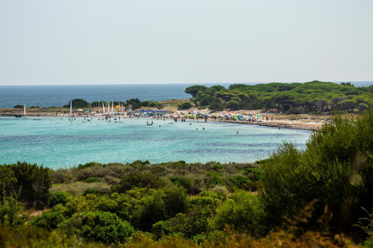 Residenze Mare E Pineta Aparthotel Budoni Εξωτερικό φωτογραφία